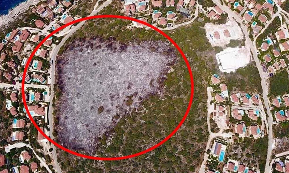 Nature Does Not Forgive — It Takes Its Revenge